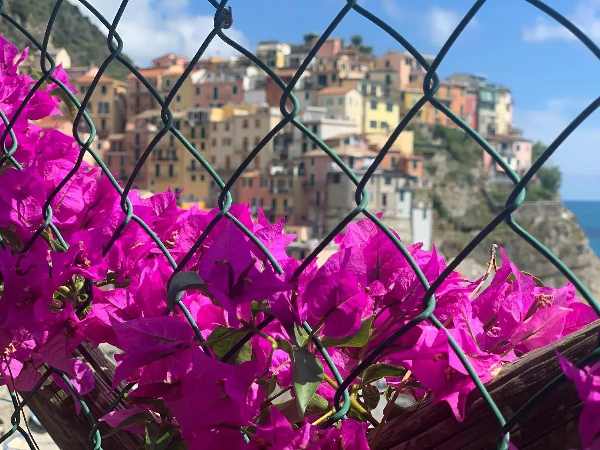 Affittacamere San Giorgio Manarola 2*,